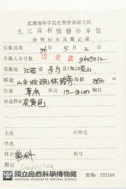 黃鵪菜藏品圖，第2張