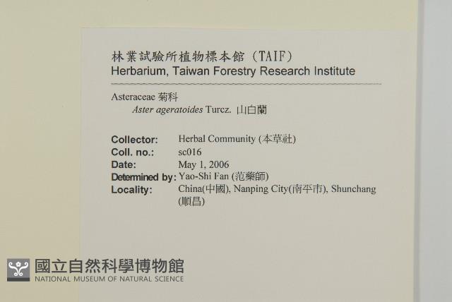 山白蘭藏品圖，第2張