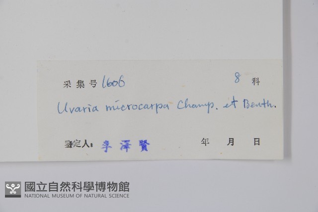 紫玉盤藏品圖，第2張