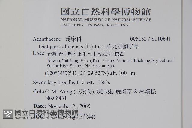 華九頭獅子草藏品圖，第2張