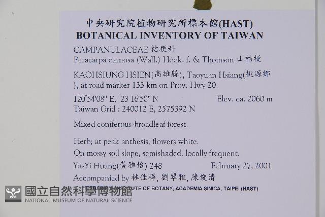 山桔梗藏品圖，第2張