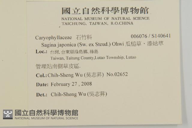 瓜槌草、漆姑草藏品圖，第2張