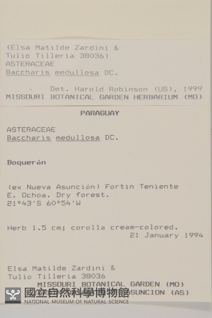 登錄號:S080641藏品圖，第2張