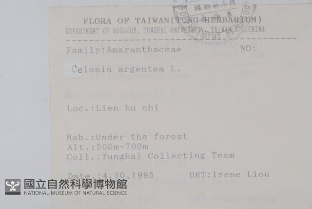 青葙藏品圖，第2張