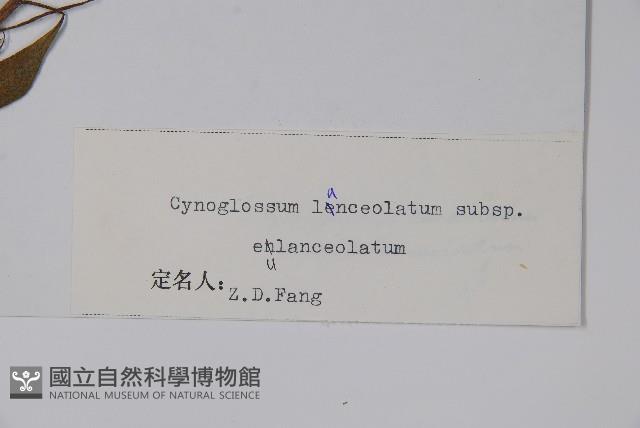 小花倒提壺藏品圖，第2張