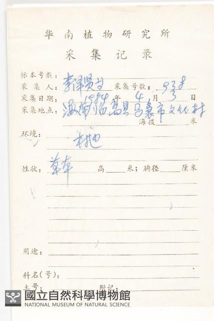 野牽牛藏品圖，第2張