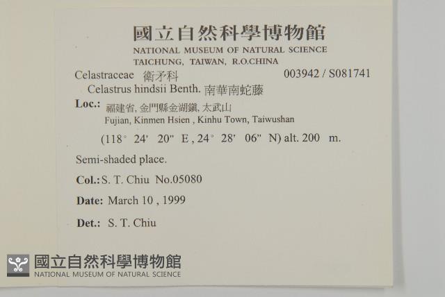 南華南蛇藤，青江藤藏品圖，第2張
