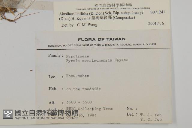 臺灣鬼督郵藏品圖，第2張