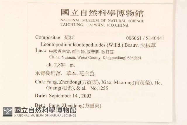 火絨草藏品圖，第2張