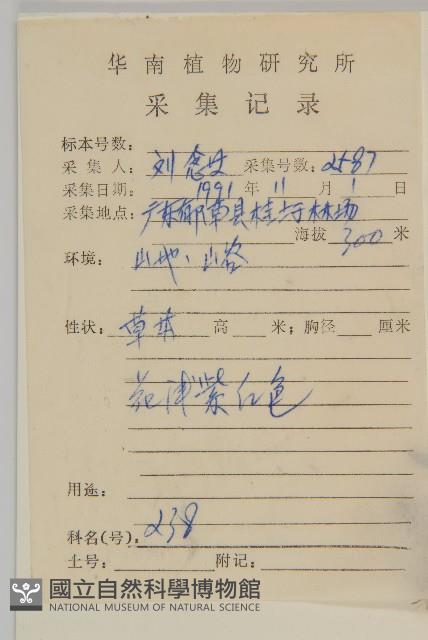 裂葉艾納香藏品圖，第2張