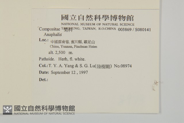 登錄號:S080141藏品圖，第2張