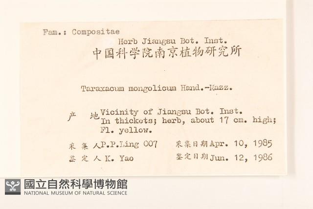 蒲公英藏品圖，第2張