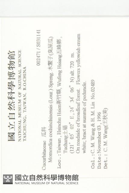 木鱉子藏品圖，第2張