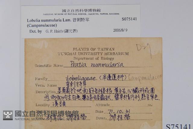 普刺特草藏品圖，第2張