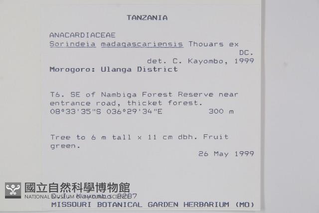 登錄號:S094141藏品圖，第2張