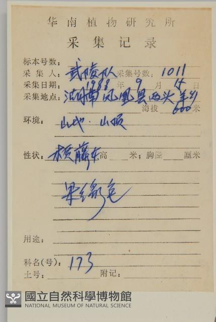 Accession Number:S044141 Collection Image, Figure 2, Total 3 Figures