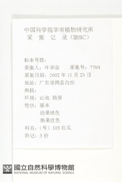 紅瓜藏品圖，第2張