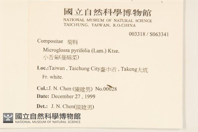 小舌菊、蔓綿菜藏品圖，第2張