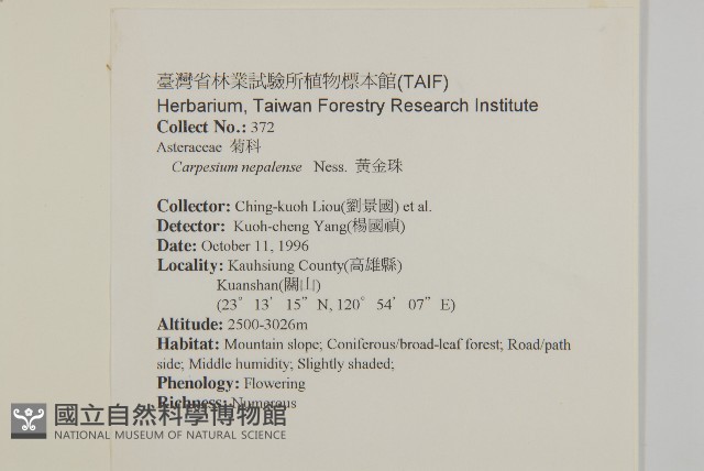 黃金珠藏品圖，第2張