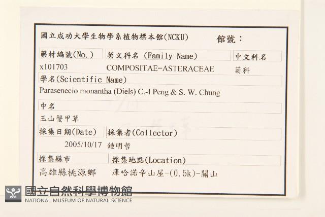 玉山蟹甲草藏品圖，第2張