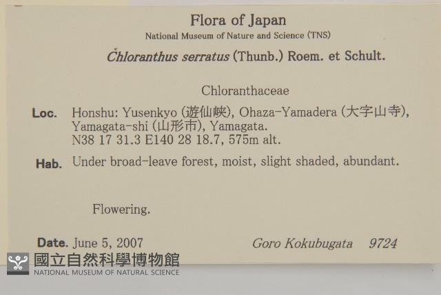 Accession Number:S130841 Collection Image, Figure 2, Total 2 Figures