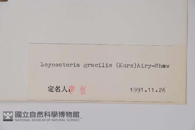 纖細風吹蕭藏品圖，第2張