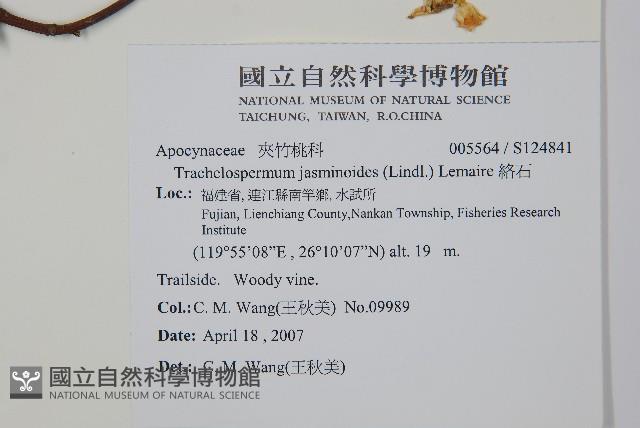 絡石藏品圖，第2張