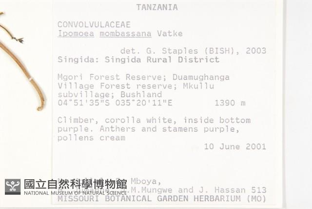 登錄號:S093841藏品圖，第2張