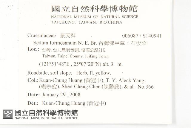 台灣佛甲草、石板菜藏品圖，第2張