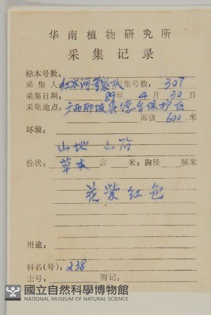 杯菊藏品圖，第2張