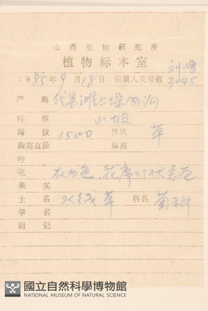 絹茸火絨草藏品圖，第2張