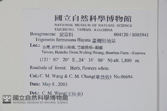 臺灣附地草藏品圖，第2張