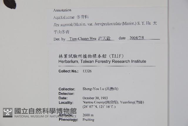 太平山冬青藏品圖，第2張