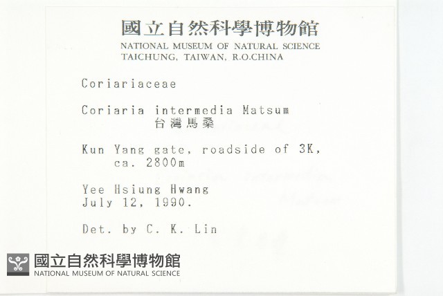 臺灣馬桑藏品圖，第2張