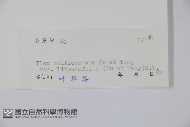 登錄號:S041541藏品圖，第2張