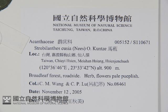 馬藍藏品圖，第2張