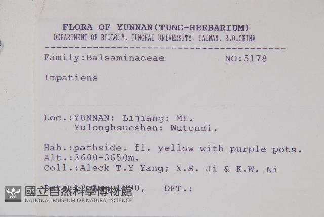 登錄號:S031671藏品圖，第2張