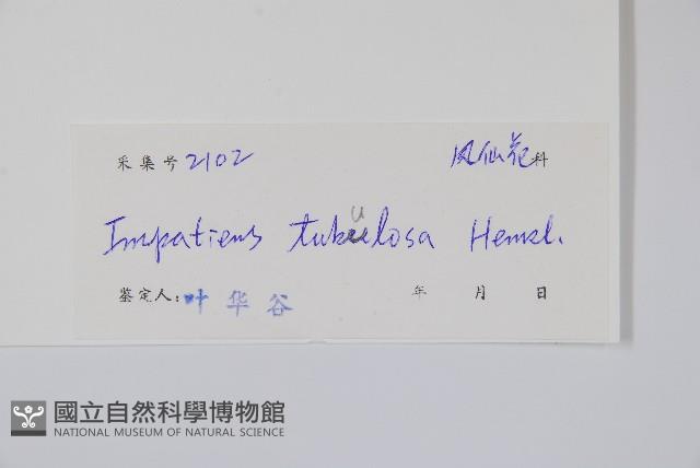 登錄號:S041671藏品圖，第2張