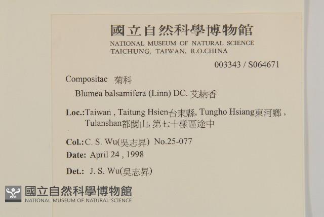 艾納香藏品圖，第2張