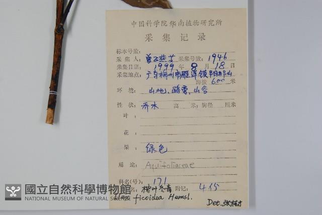 臺灣糊樗藏品圖，第2張