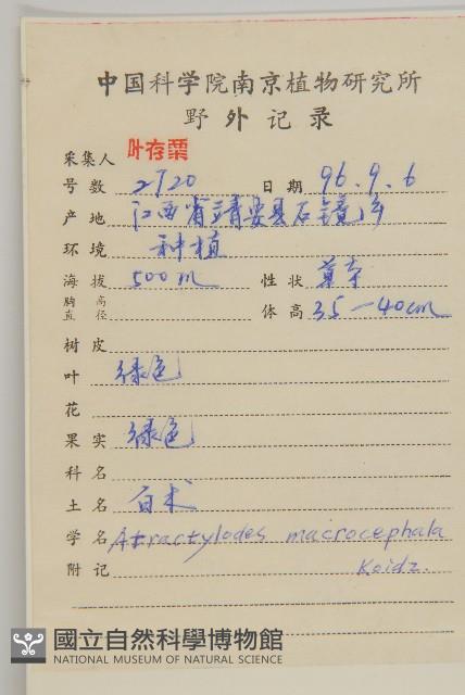 白朮藏品圖，第2張