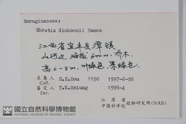 破布烏藏品圖，第2張