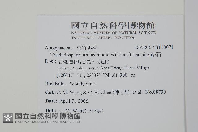 絡石藏品圖，第2張