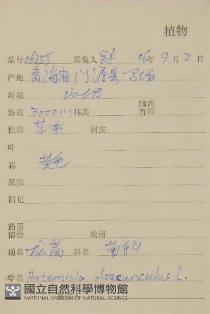 龍蒿藏品圖，第2張