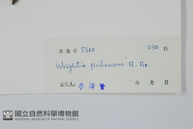 倒吊芼藏品圖，第2張