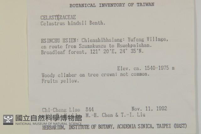 南華南蛇藤，青江藤藏品圖，第2張