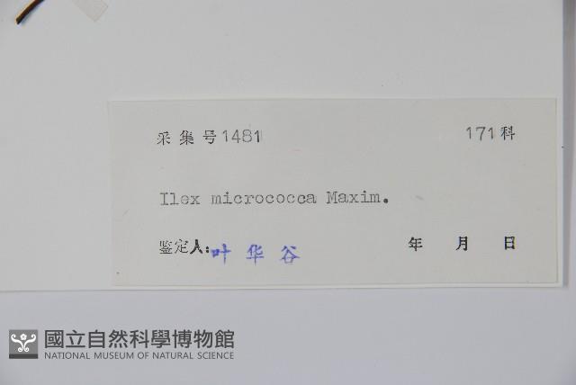 朱紅水木藏品圖，第2張