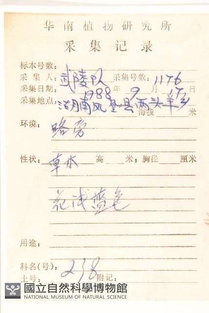 雞兒腸藏品圖，第2張