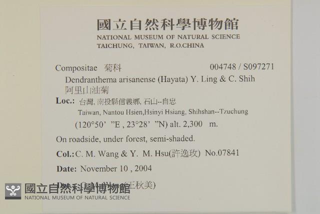 阿里山油菊藏品圖，第2張