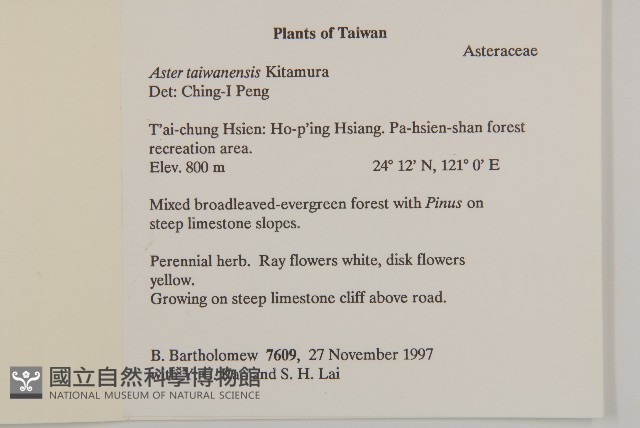 臺灣馬蘭藏品圖，第2張